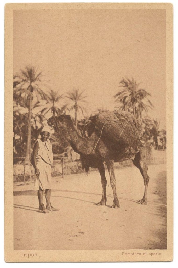 8. Tripoli, portatore di sparto, cartolina, Scialom Haggiag Editore, collezione privata